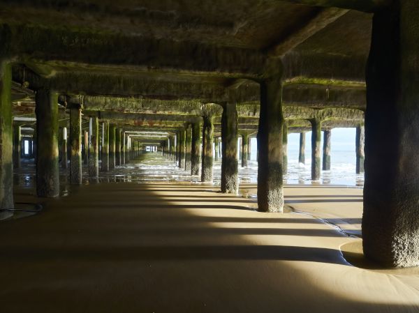 Pier And Beam Leveling in Waterloo