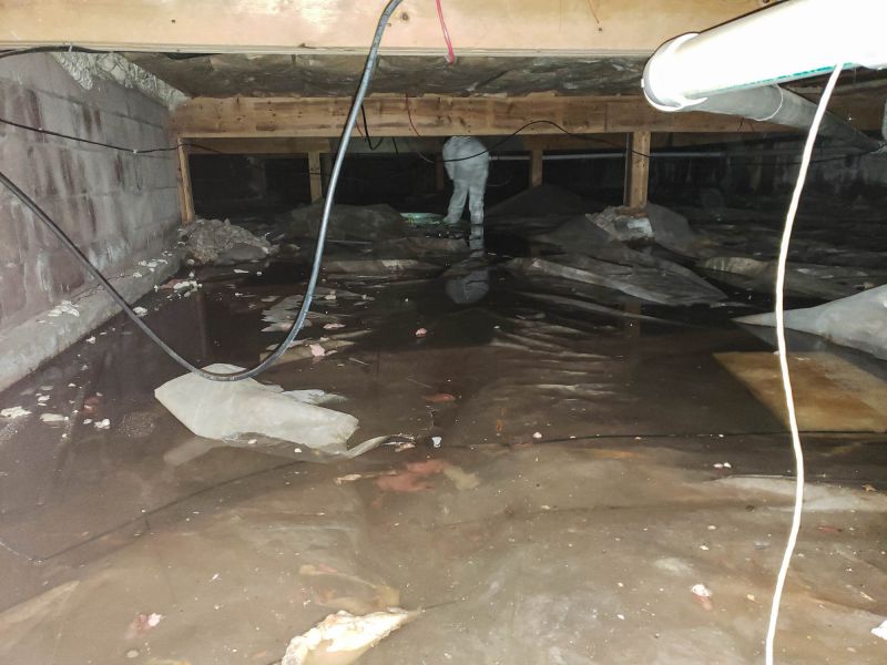 Sealed Crawlspace Interior